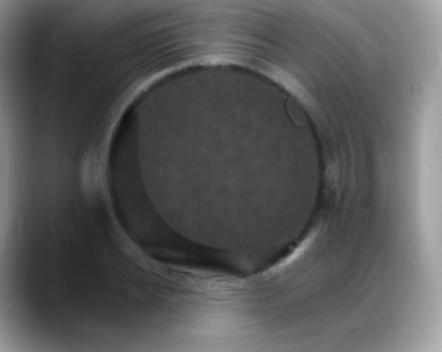 X0000088200934200705292030