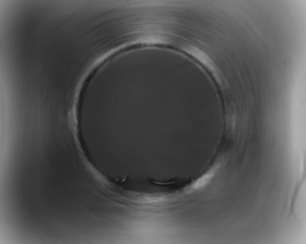 X0000088200935200705292030