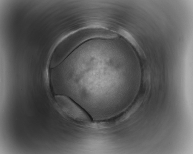 X0000088200936200705292030