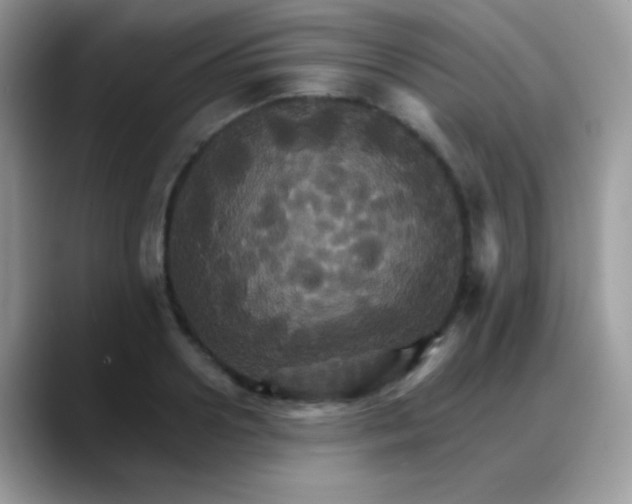 X0000088200938200705292030