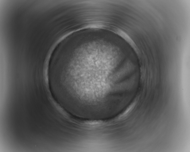 X0000088200939200705292030