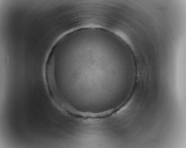 X0000088200942200705292030
