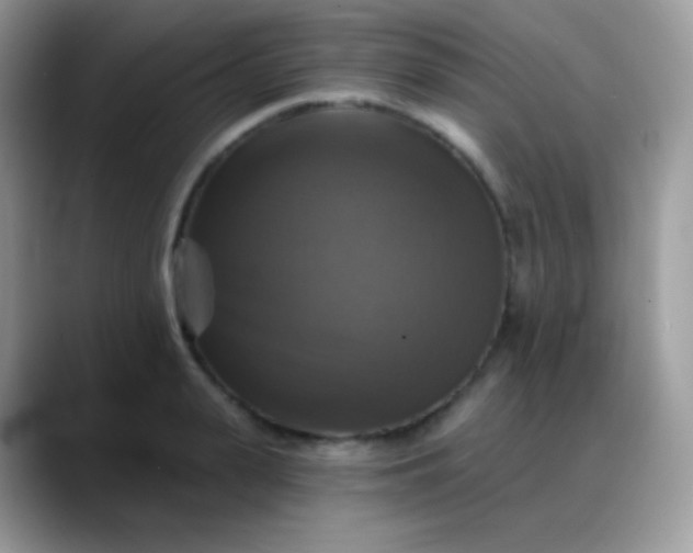 X0000088200943200705292030