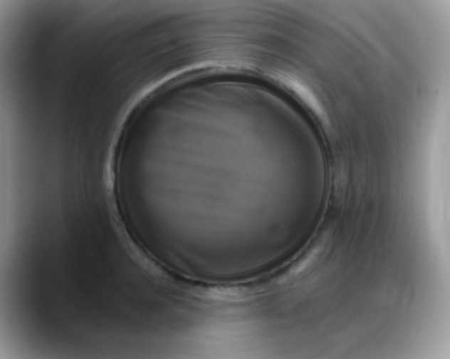 X0000088200944200705292030