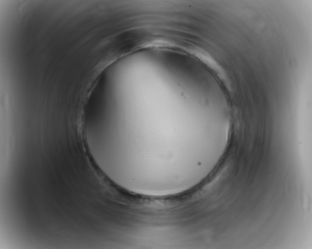 X0000088200945200705292030