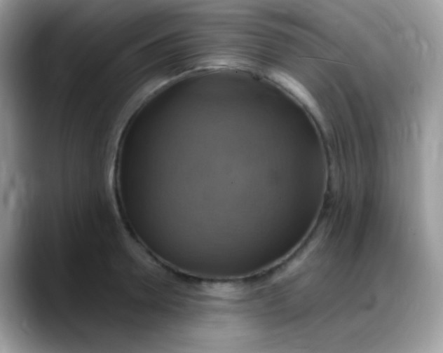 X0000088200946200705292030