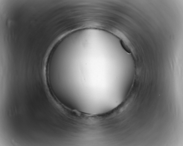 X0000088200947200705292030