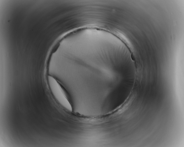 X0000088200948200705292030