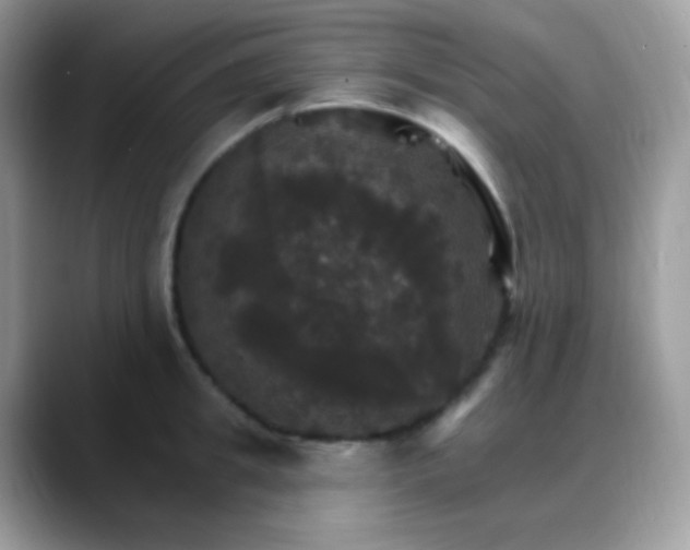 X0000088200949200705292030