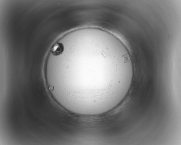 X0000088200950200705292030