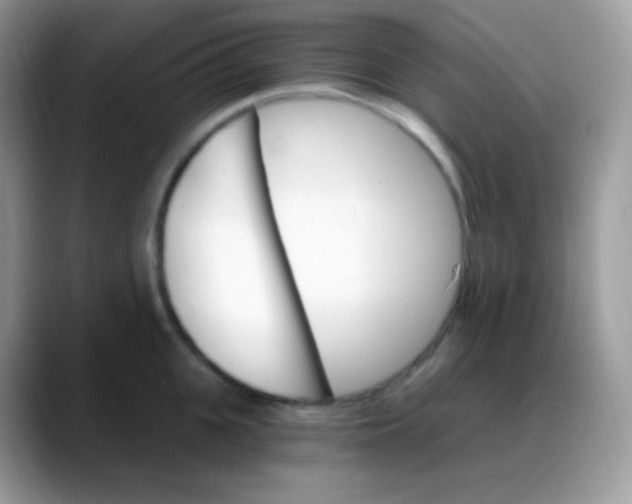 X0000088200951200705292030