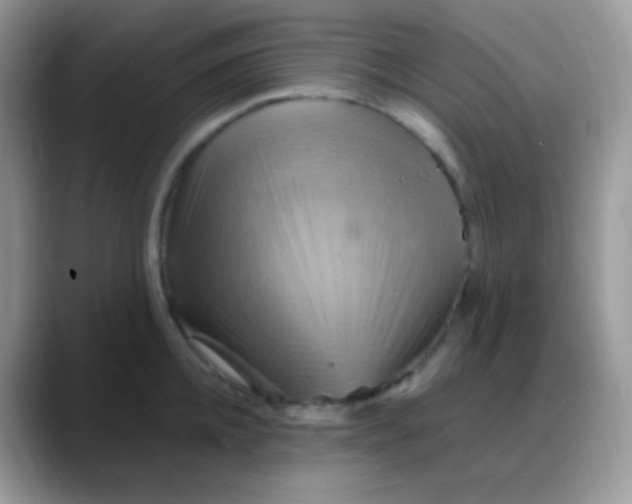 X0000088200952200705292030