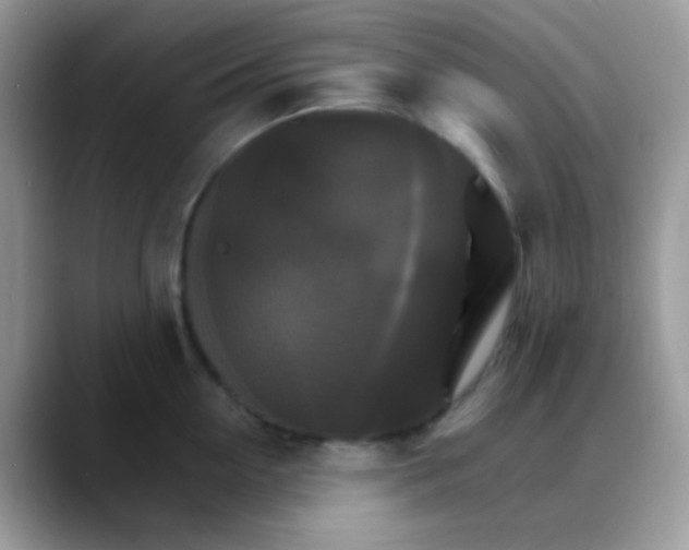 X0000088200954200705292030