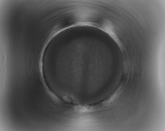 X0000088200955200705292030