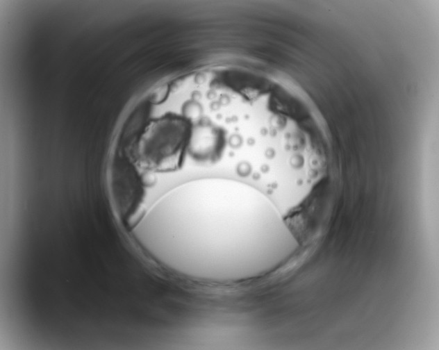 X0000088200957200705292030