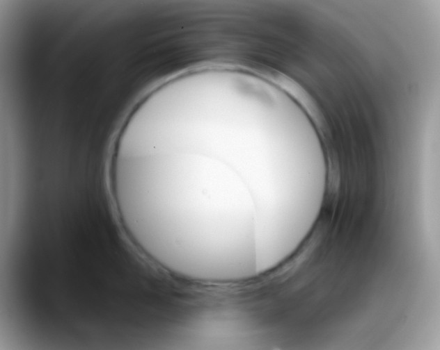 X0000088200958200705292030