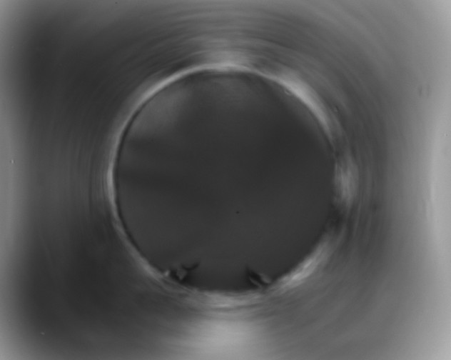 X0000088200959200705292030