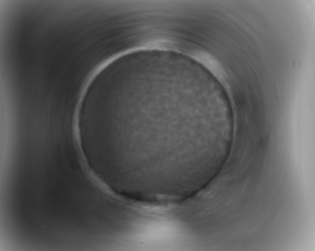 X0000088200960200705292030