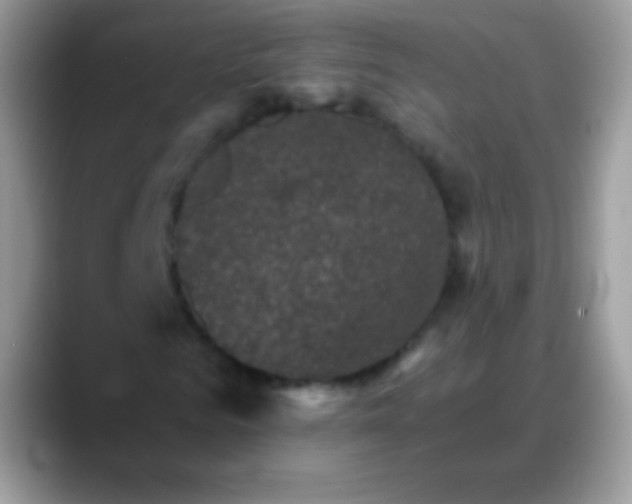 X0000088200961200705292029