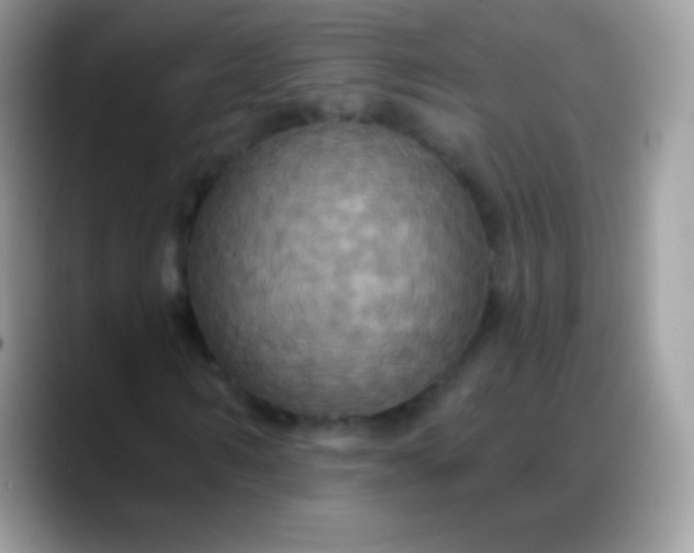 X0000088200962200705292029