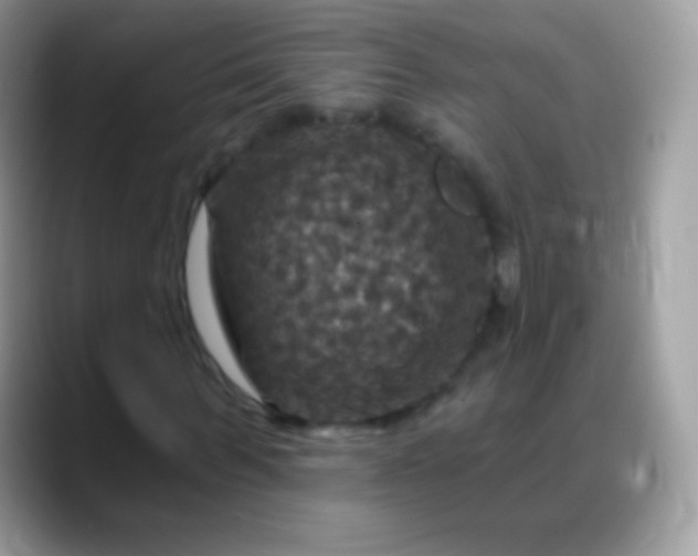 X0000088200963200705292029