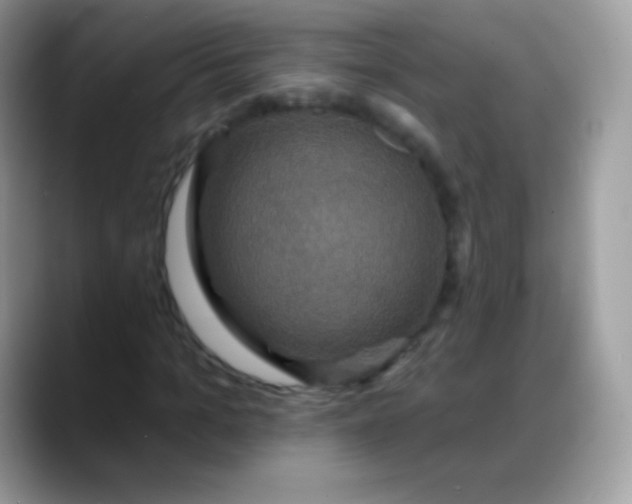 X0000088200965200705292029