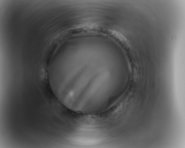 X0000088200966200705292029