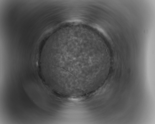 X0000088200967200705292029