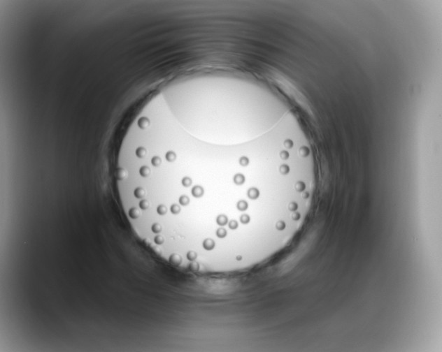 X0000088200970200705292029
