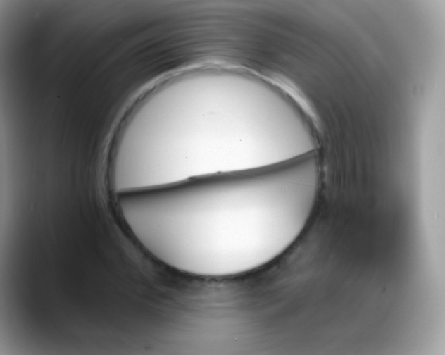 X0000088200972200705292029