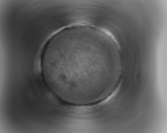 X0000088200973200705292029