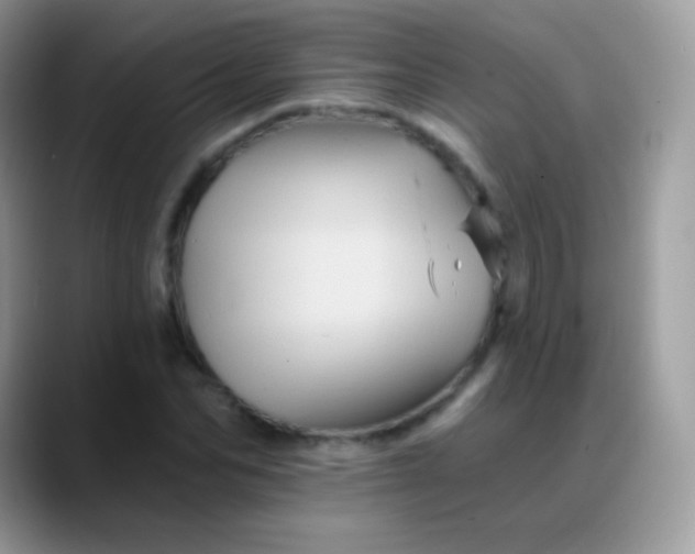 X0000088200974200705292029