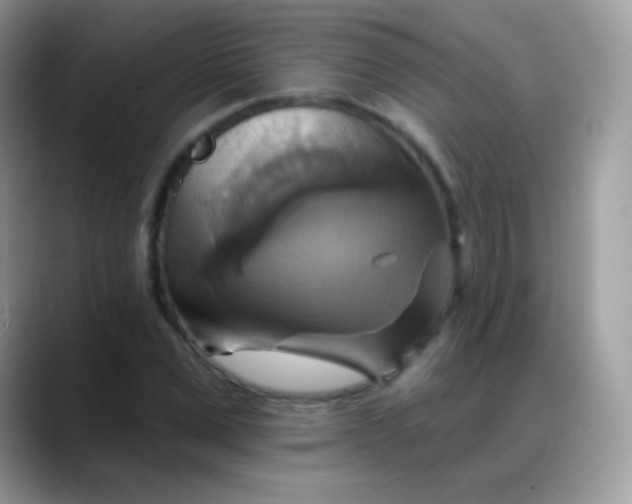 X0000088200975200705292029