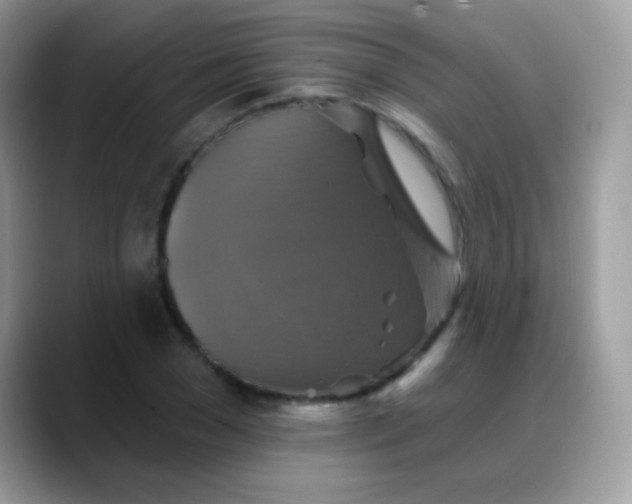 X0000088200977200705292029