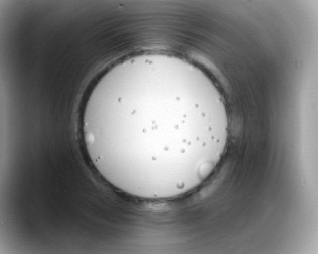 X0000088200978200705292029