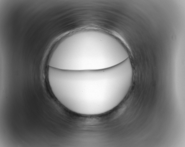 X0000088200979200705292029