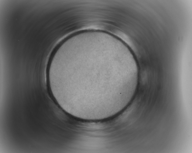 X0000088200980200705292029