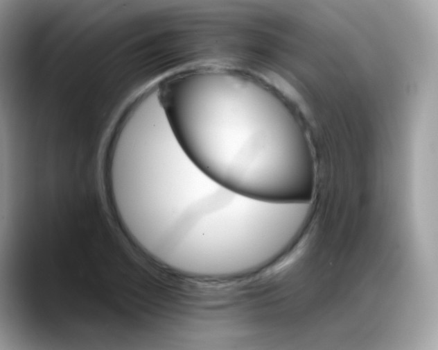 X0000088200981200705292029