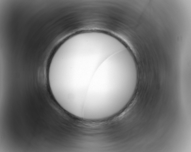 X0000088200982200705292029