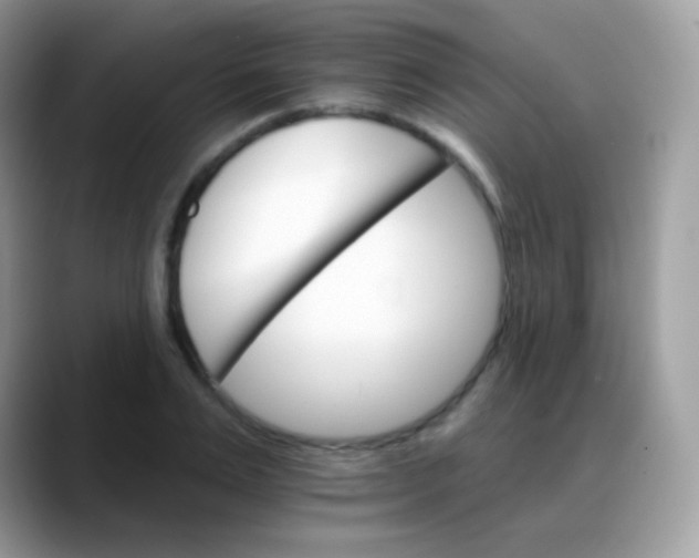 X0000088200983200705292029