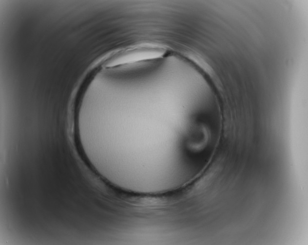 X0000088200984200705292029