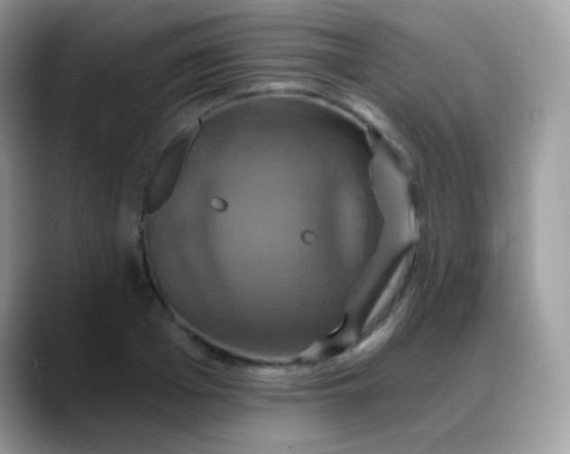 X0000088200985200705292029