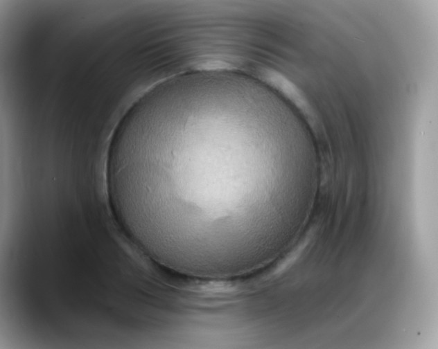 X0000088200986200705292029