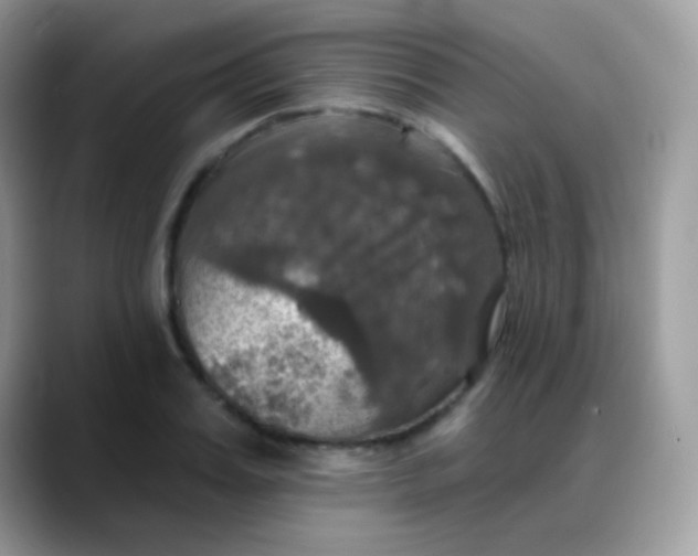 X0000088200987200705292029