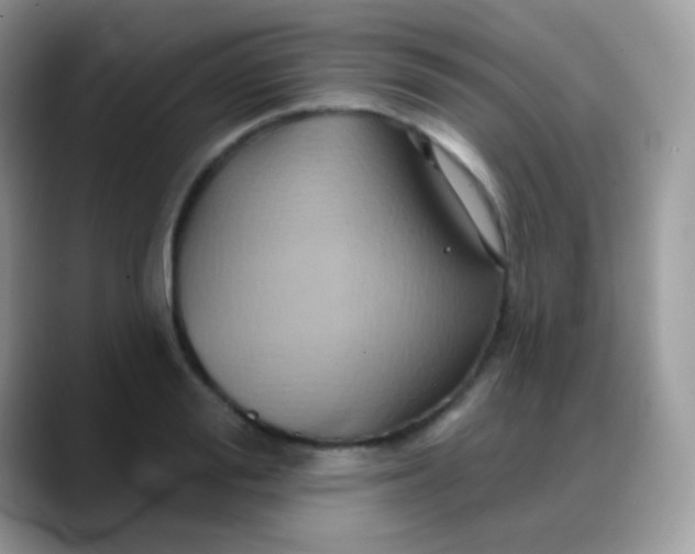 X0000088200988200705292029