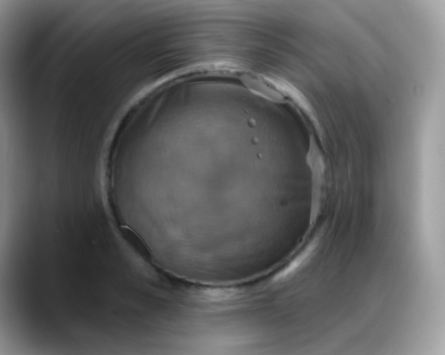 X0000088200989200705292029