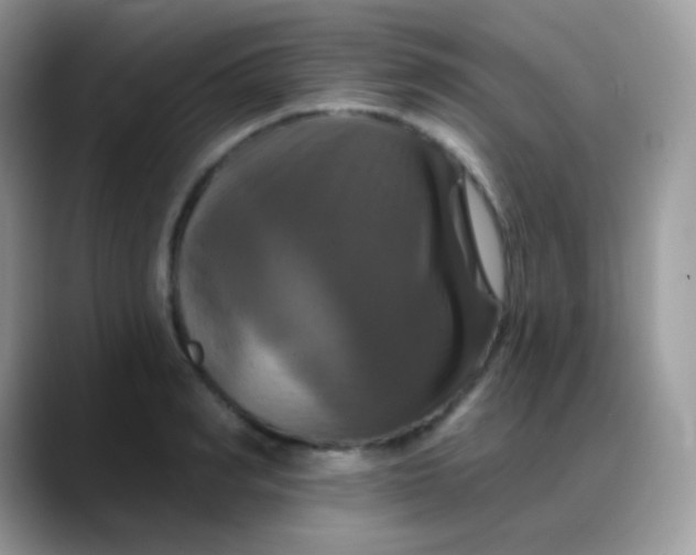 X0000088200990200705292029