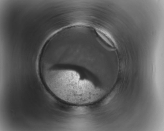 X0000088200991200705292029