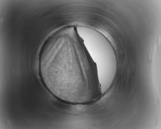 X0000088200992200705292029
