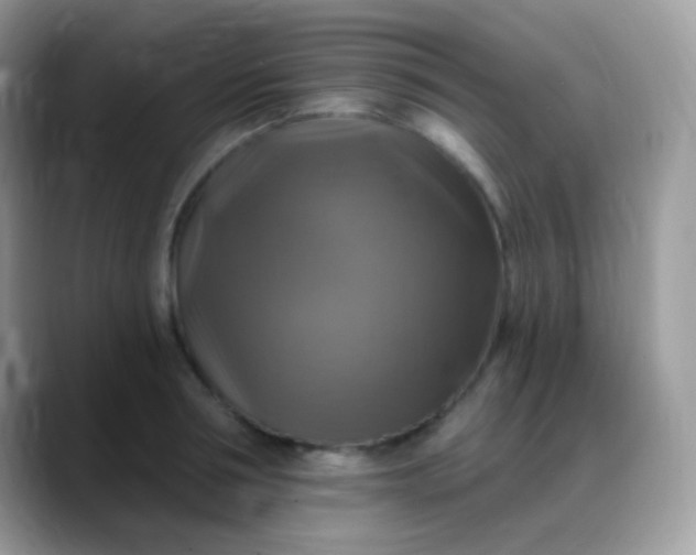 X0000088200994200705292029